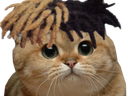:chat53:
