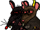 :rats: