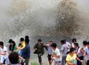 :tsunami: