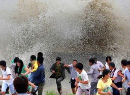 :tsunami: