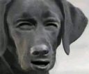 :Chien_wtf: