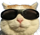 :chat_cool_: