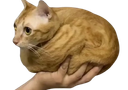 :chamain2: