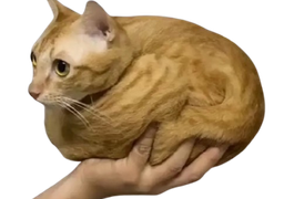 :chamain2: