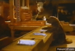 :marmotte: