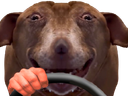:teddigigataraxvoiture: