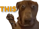 :teddithis: