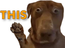 :teddithis: