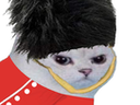 :chat_garde_anglais: