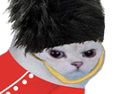 :chat_garde_anglais: