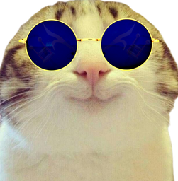 :Chat_marrant_lunette_bleue: